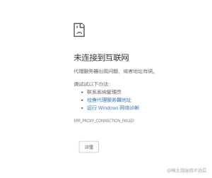 使用VPN后无法正常上网
